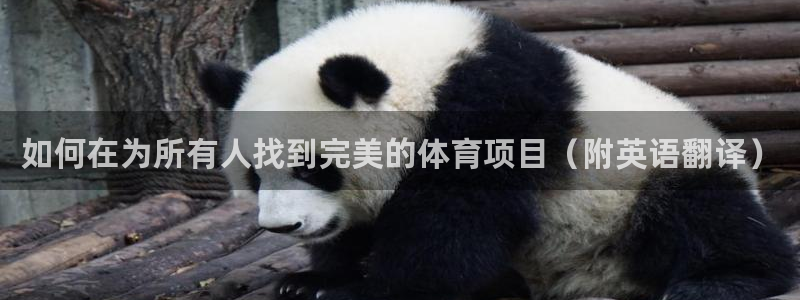 星欧娱乐官方客服联系方式电话