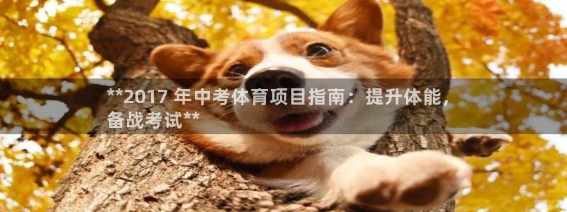 星欧娱乐是正规平台吗安全吗可靠吗