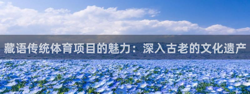 星欧娱乐扣款流程详解视频