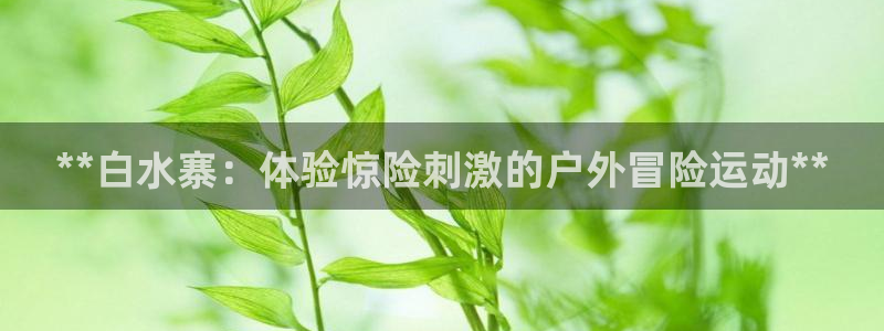 星欧娱乐属于什么档次的公司名称