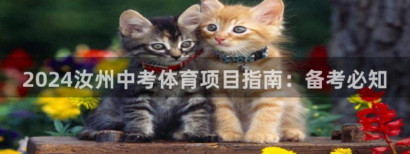 江苏星奥娱乐招艺人