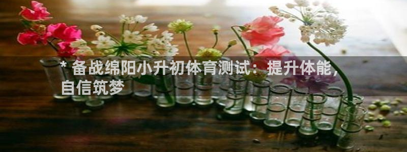 星欧娱乐挂机教程