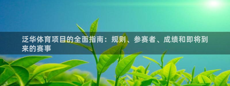 星欧娱乐公司