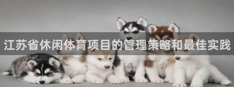 星欧娱乐工711.112怎么没有了