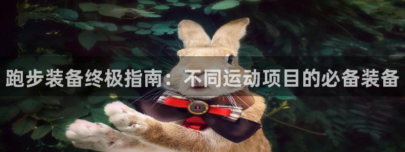 江苏星奥娱乐有限公司