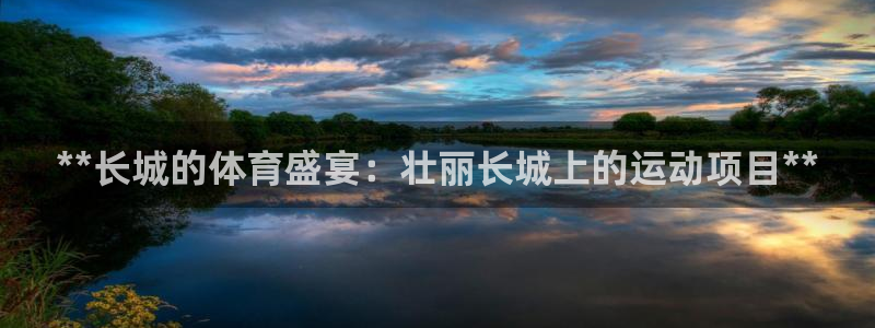 星欧娱乐属于什么档次的软件公司