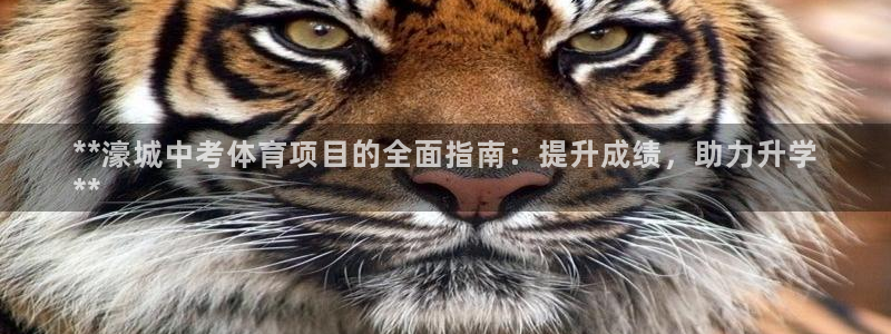 星欧娱乐官网首页入口