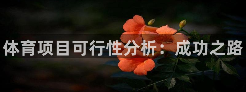 星澳娱乐公司怎么样