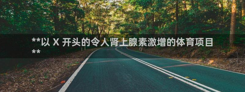 星欧娱乐公司简介