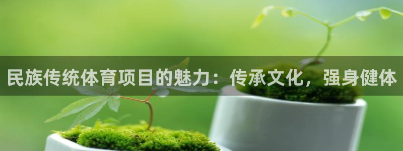 星奥娱乐集团股份有限公司官网