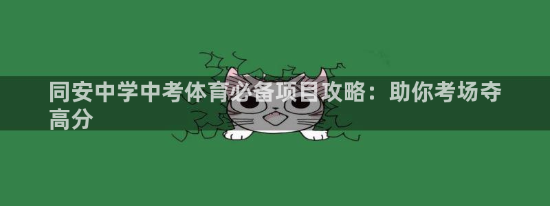 星欧娱乐平台怎么样啊可靠吗
