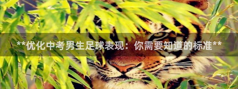星欧娱乐官方客服联系方式