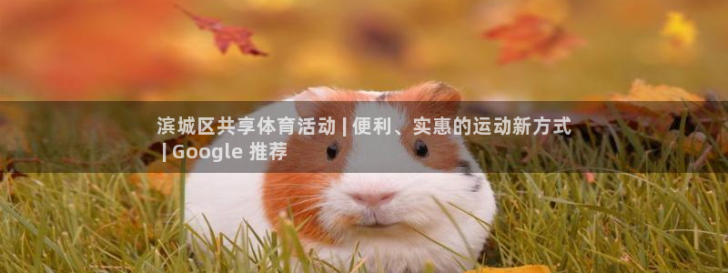 星欧娱乐官网首页入口