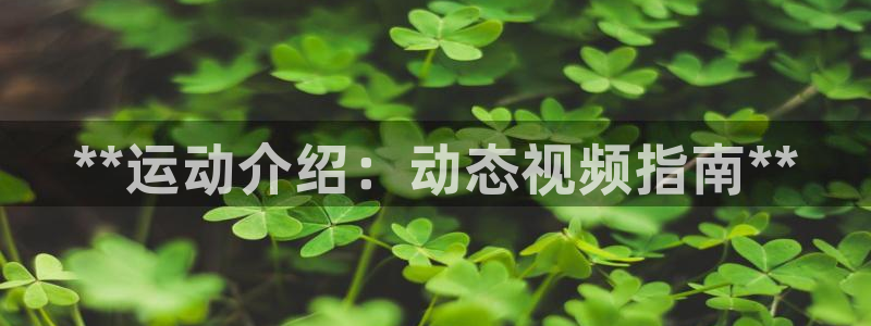 星奥娱乐集团怎么样
