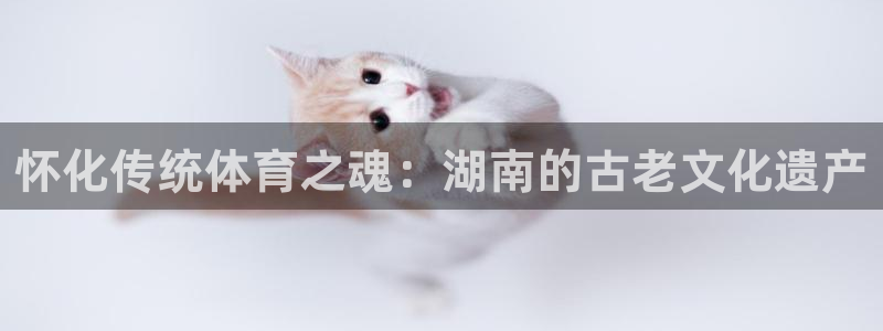 星欧娱乐公司怎么样