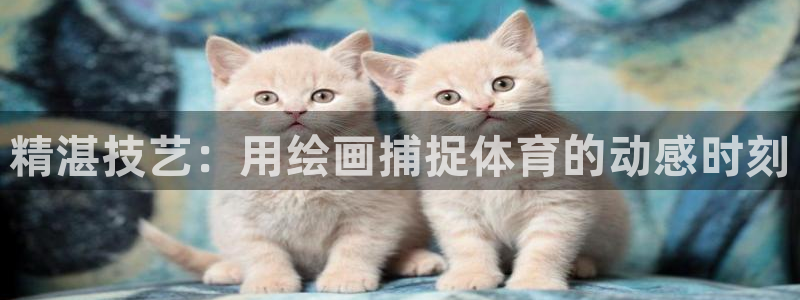 星欧娱乐公司简介