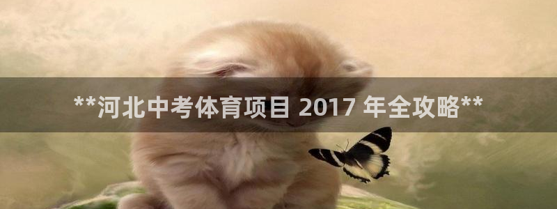星奥娱乐旗下艺人