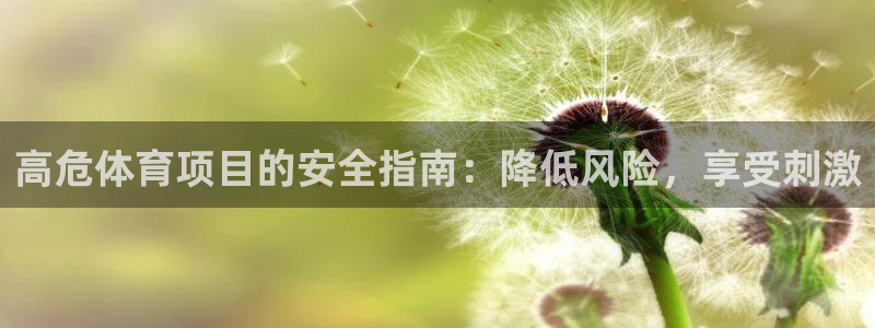 星奥娱乐集团怎么样