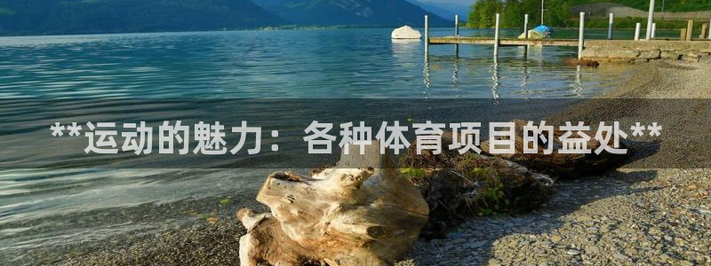 星娱乐是谁的公司