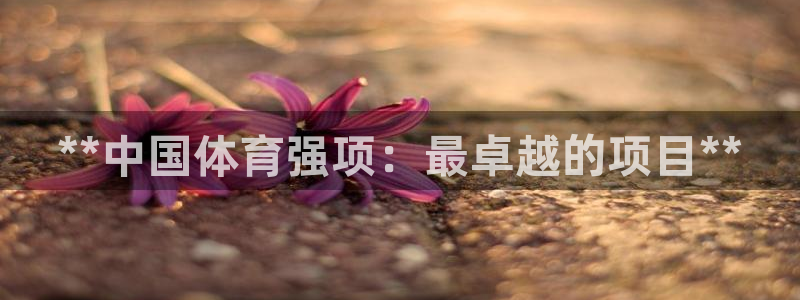 江苏星奥娱乐有限公司