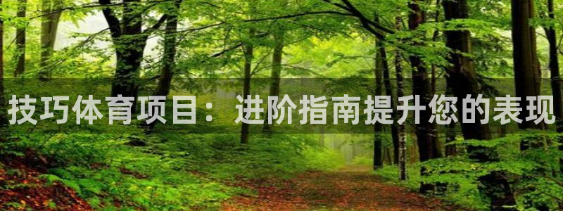星欧娱乐的官方版本更新内容
