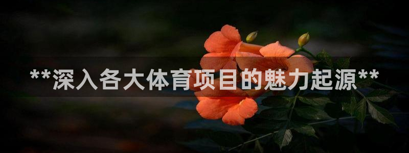 星欧娱乐挂机赚钱软件