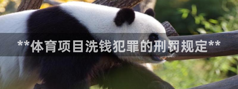 江苏星奥娱乐有限公司报名