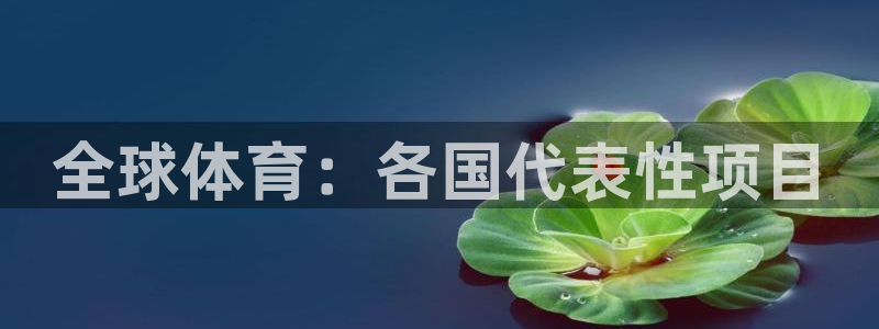 星娱乐文化传媒有限公司