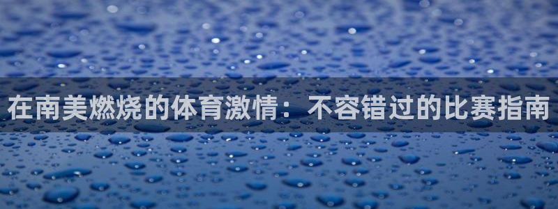 星欧娱乐公司简介