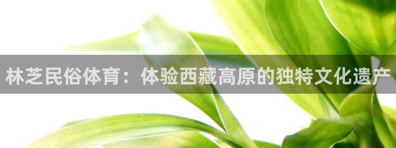星奥娱乐集团股份有限公司官网