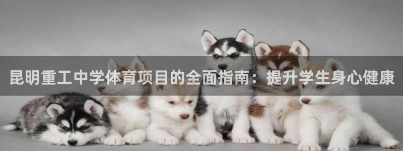 星欧娱乐的官方版本更新内容是什么