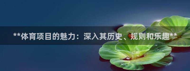 星欧娱乐扣款流程详解图片