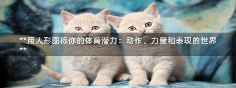 星欧娱乐联游戏评测