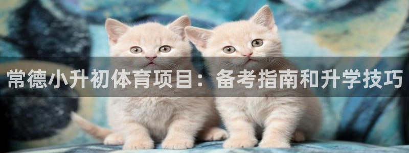 星欧娱乐app最新版本更新内容下载