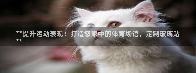 星欧娱乐官方客服联系方式