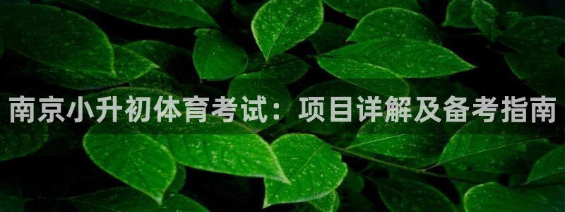 星欧娱乐彩票软件下载安装