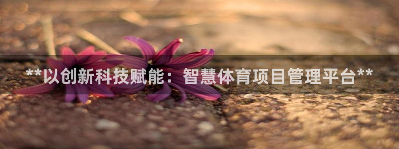 星欧娱乐的官方版本更新内容