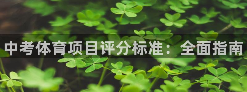 星欧娱乐官方客服联系方式是什么