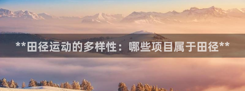 星娱乐是谁的公司