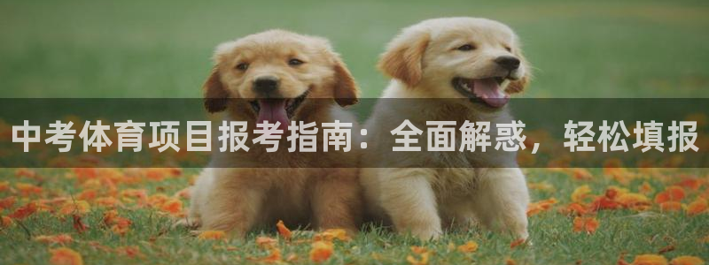 星欧娱乐官网下载