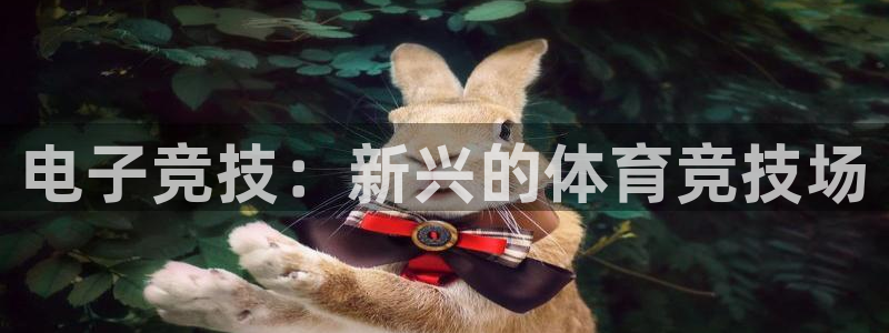星欧娱乐法711.112怎么扣钱