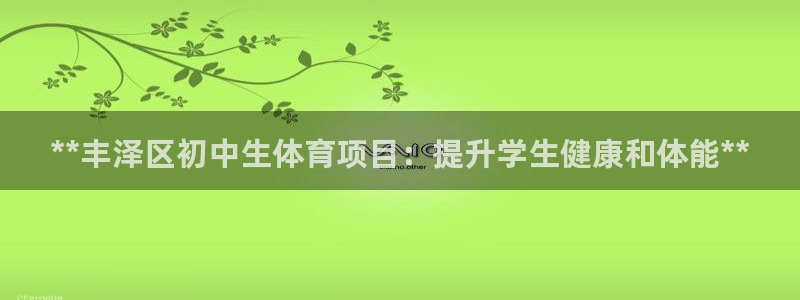 新星娱乐怎么开挂