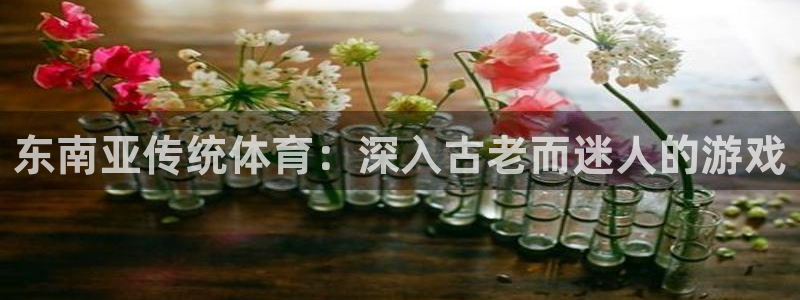 星欧娱乐官网下载