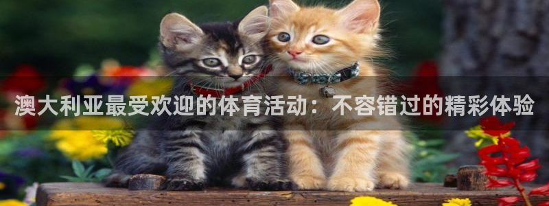 星欧娱乐官网下载安装