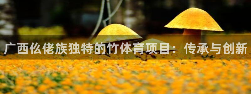 星欧娱乐挂机教程