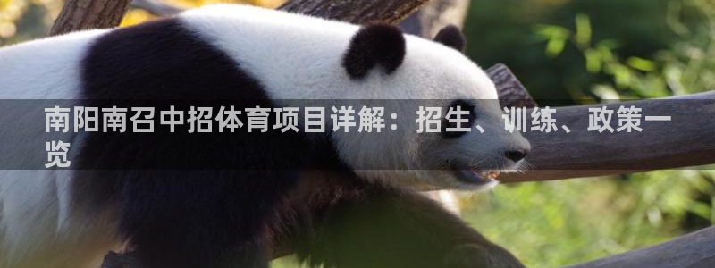 星欧娱乐挂机赚钱