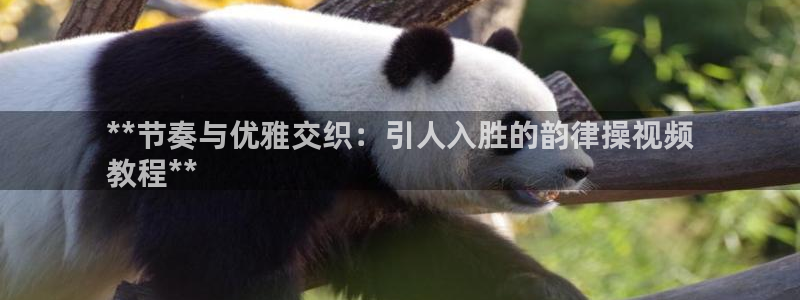 星欧娱乐平台怎么样可靠吗