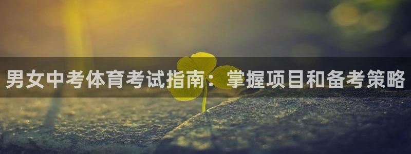 澳星国际娱乐集团