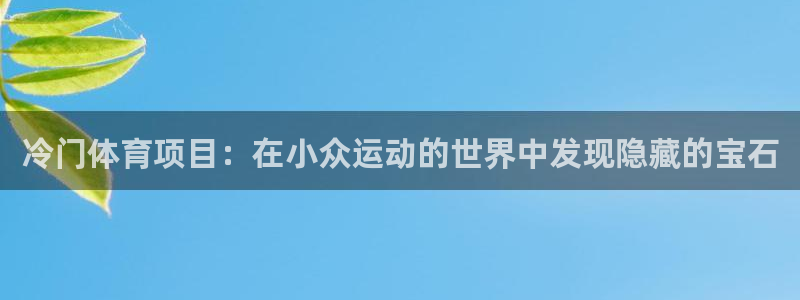 星欧娱乐扣费处理方法
