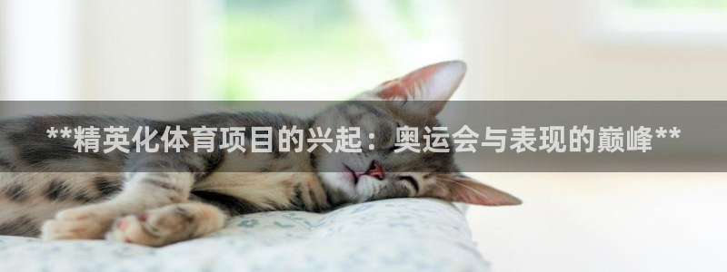 星奥娱乐集团